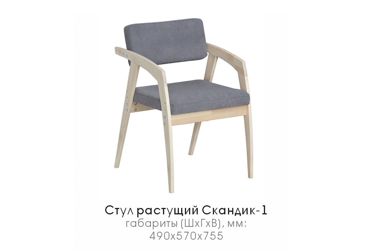 Стул растущий "Скандик"